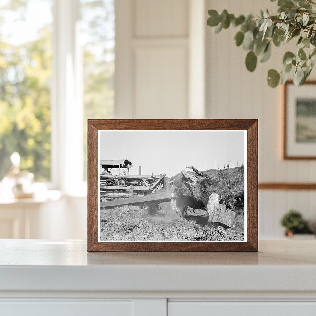 Bulldozer Moves Stump on Lewis County Farm August 1939 - Available at KNOWOL