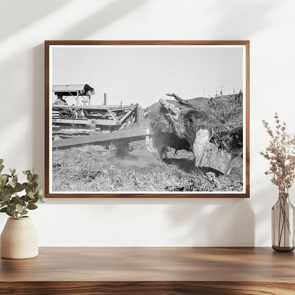 Bulldozer Moves Stump on Lewis County Farm August 1939 - Available at KNOWOL