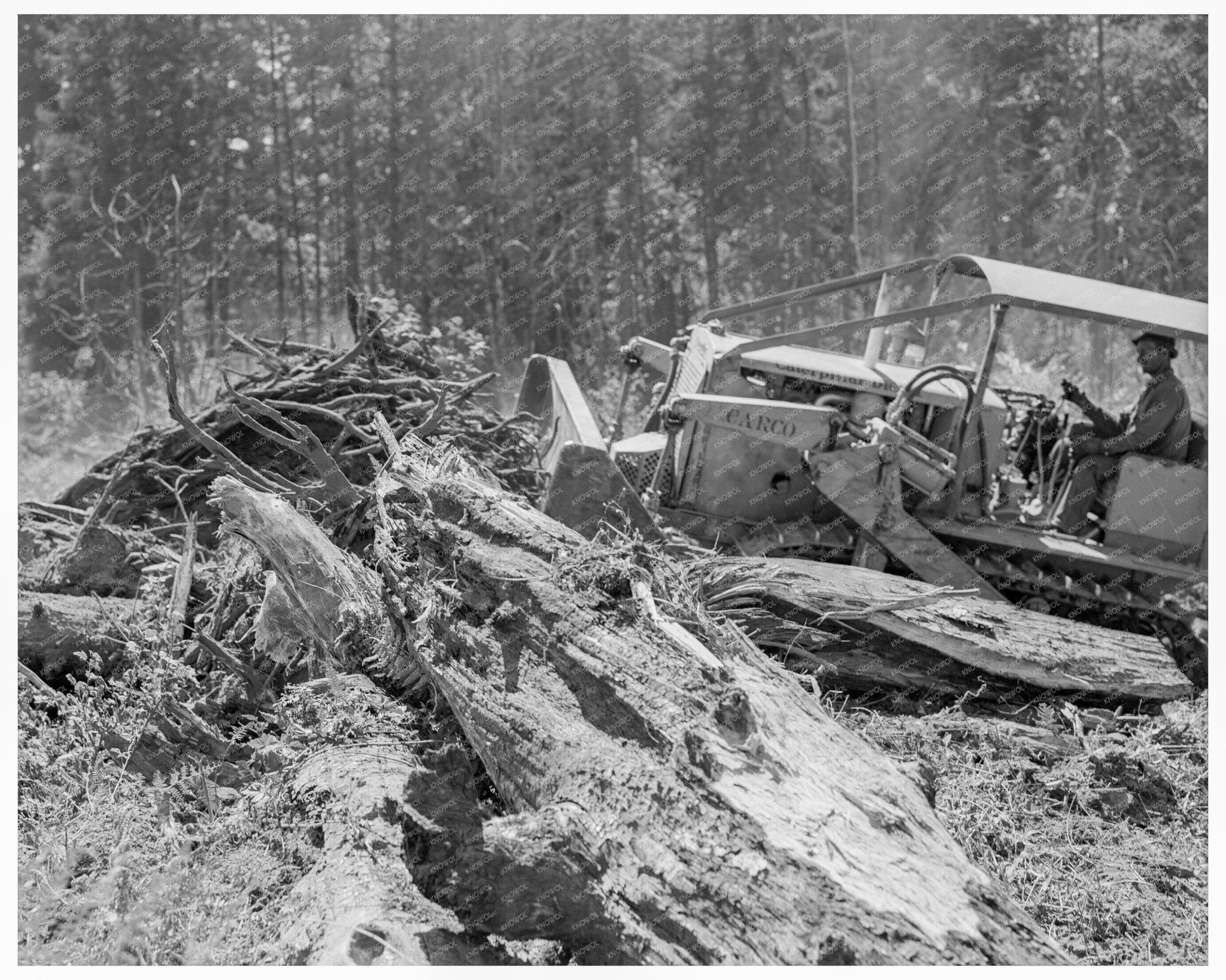 Bulldozer Operation at Nieman Place Lewis County 1939 - Available at KNOWOL