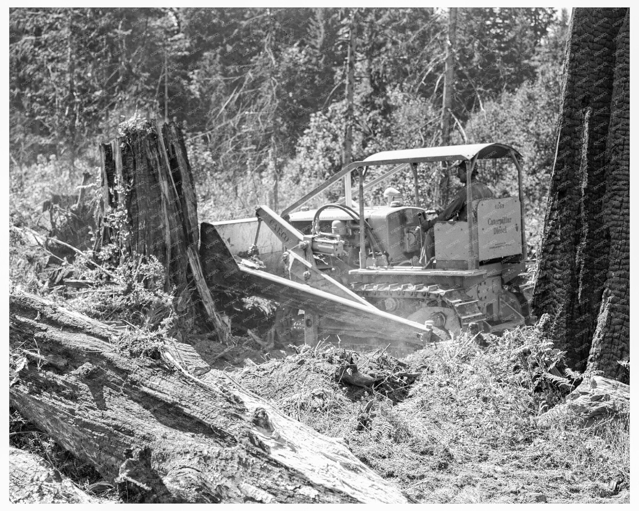 Bulldozer Operation in Lewis County Washington 1939 - Available at KNOWOL