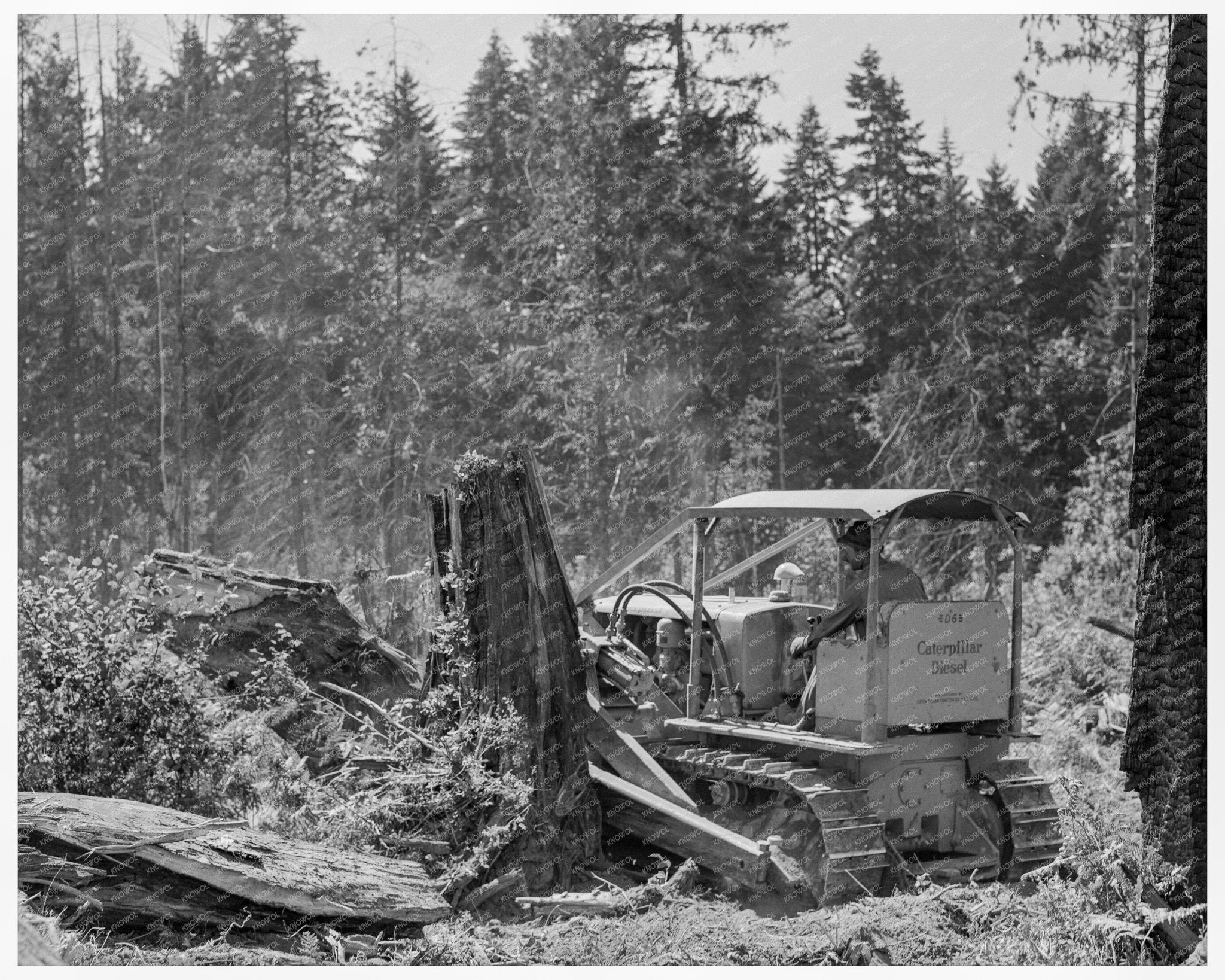 Bulldozer Operation on Nieman Place 1939 - Available at KNOWOL