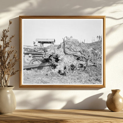 Bulldozer Pushing Stump on Lewis County Farm 1939 - Available at KNOWOL