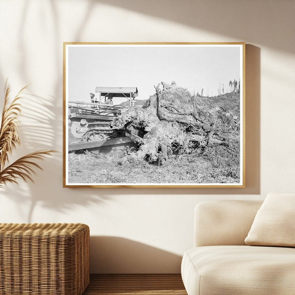 Bulldozer Pushing Stump on Lewis County Farm 1939 - Available at KNOWOL