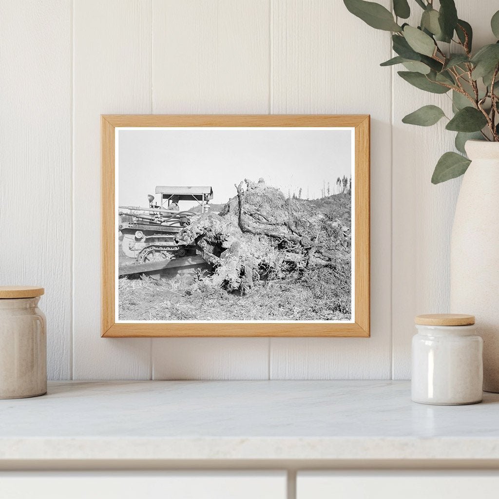 Bulldozer Pushing Stump on Lewis County Farm 1939 - Available at KNOWOL