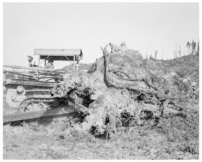 Bulldozer Pushing Stump on Lewis County Farm 1939 - Available at KNOWOL