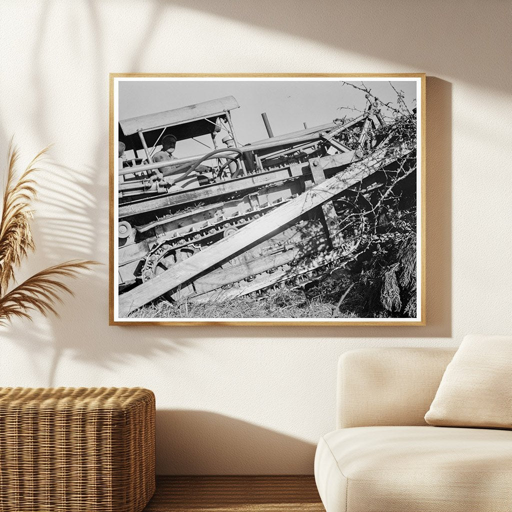 Bulldozer Working on Farm Stump Lewis County 1939 - Available at KNOWOL