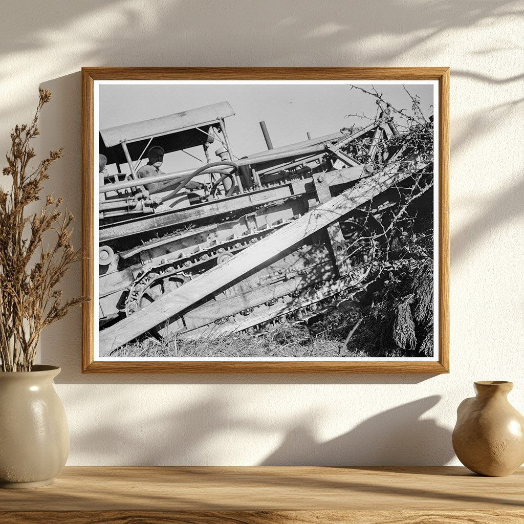 Bulldozer Working on Farm Stump Lewis County 1939 - Available at KNOWOL