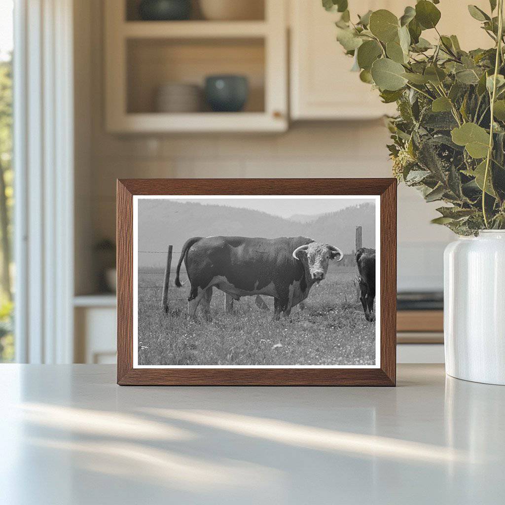 Bulls Head at Cruzen Ranch Valley County Idaho 1941 - Available at KNOWOL