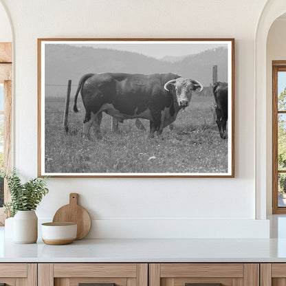Bulls Head at Cruzen Ranch Valley County Idaho 1941 - Available at KNOWOL