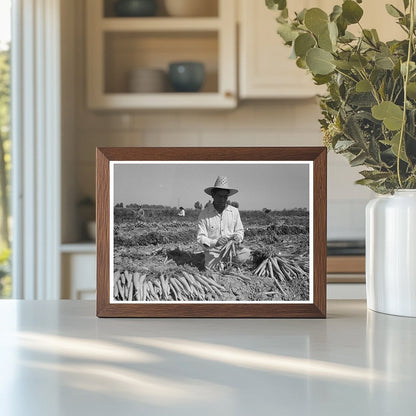 Bunching Carrots in Imperial County March 1942 - Available at KNOWOL