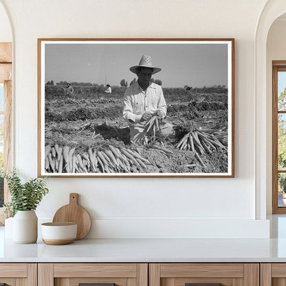 Bunching Carrots in Imperial County March 1942 - Available at KNOWOL