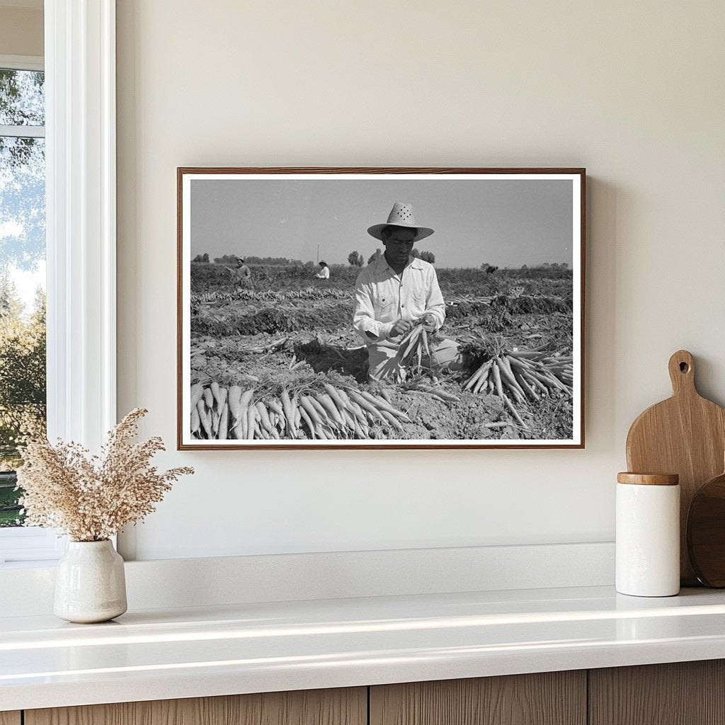 Bunching Carrots in Imperial County March 1942 - Available at KNOWOL