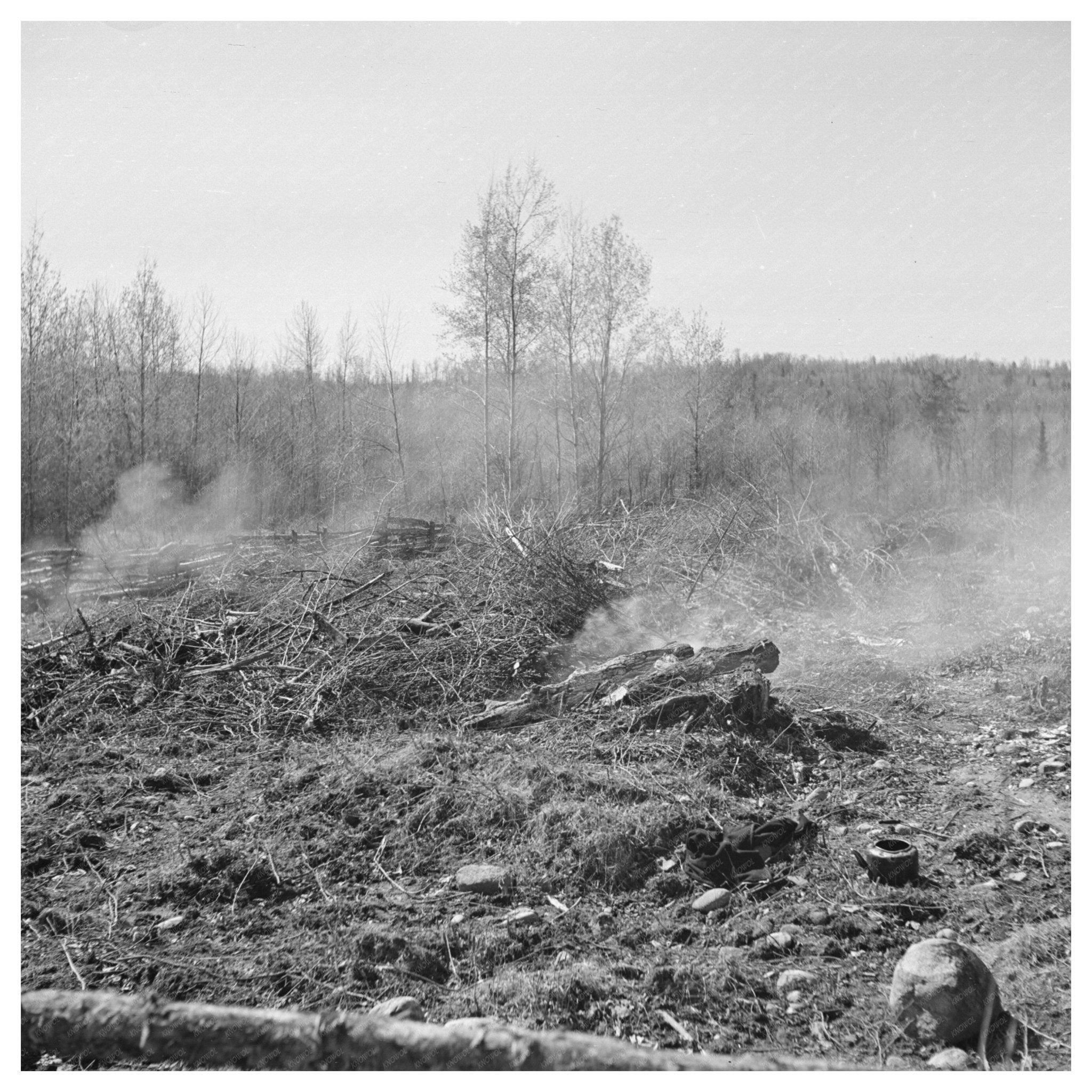 Burning Brush on Sando Evanoffs Farm Michigan 1937 - Available at KNOWOL