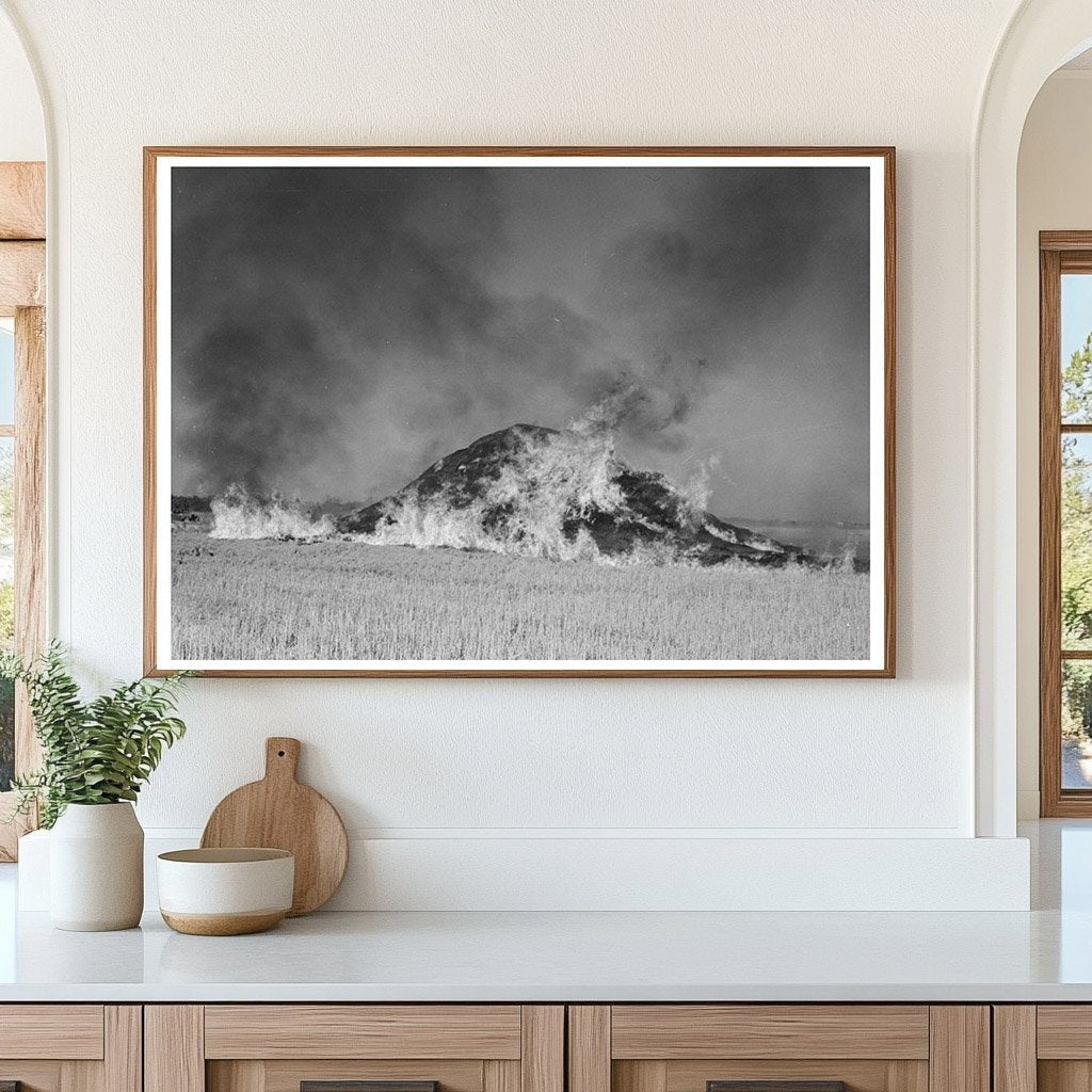 Burning Straw Stack in Rice Field Crowley Louisiana 1938 - Available at KNOWOL