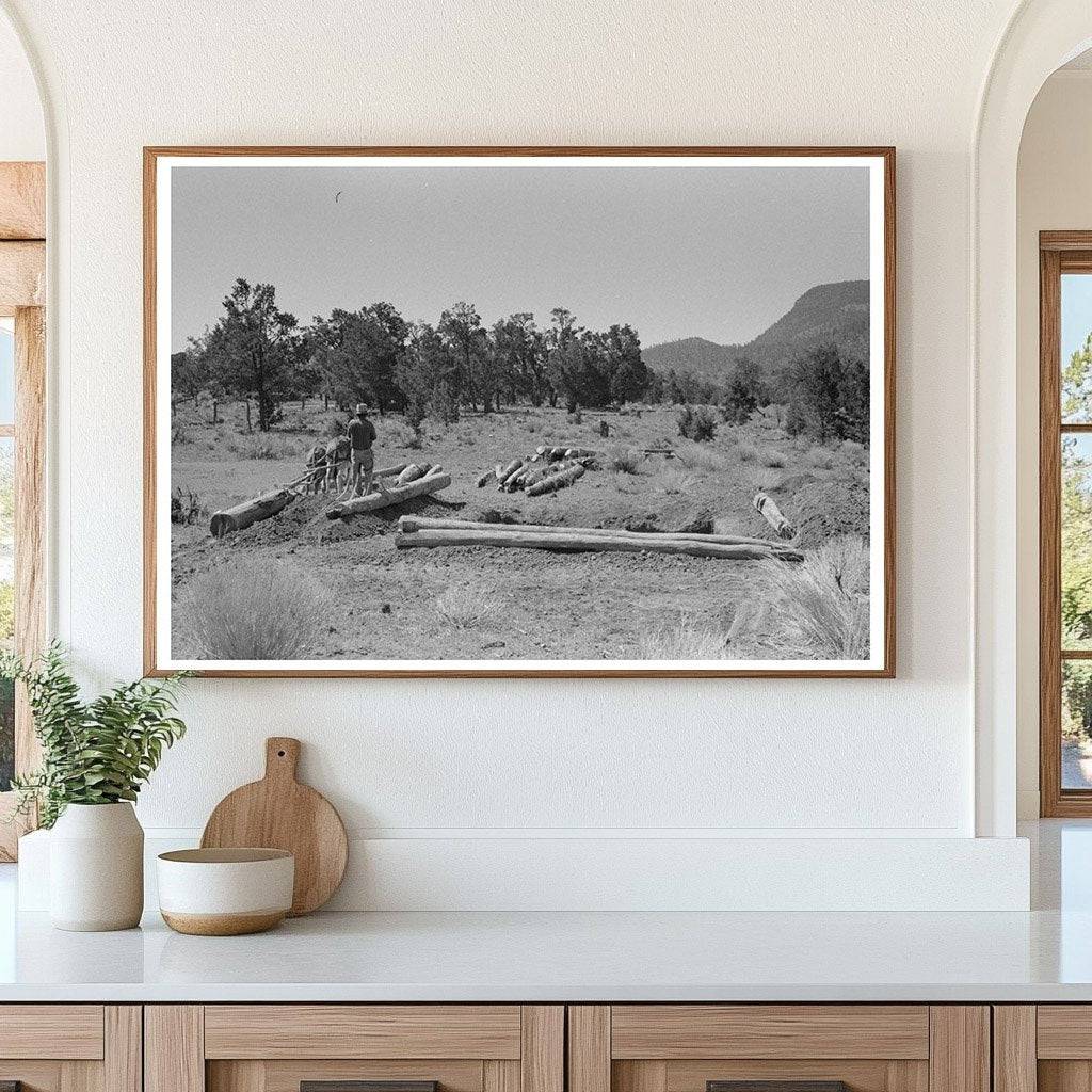 Burros Dragging Logs for Dugout Construction June 1940 - Available at KNOWOL