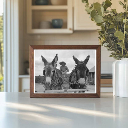 Burros Pull Cart in Pie Town New Mexico June 1940 - Available at KNOWOL