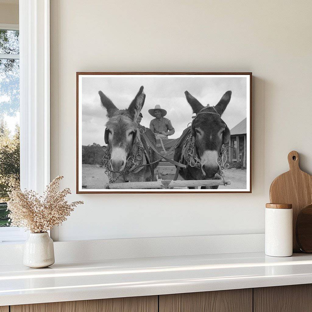 Burros Pull Cart in Pie Town New Mexico June 1940 - Available at KNOWOL