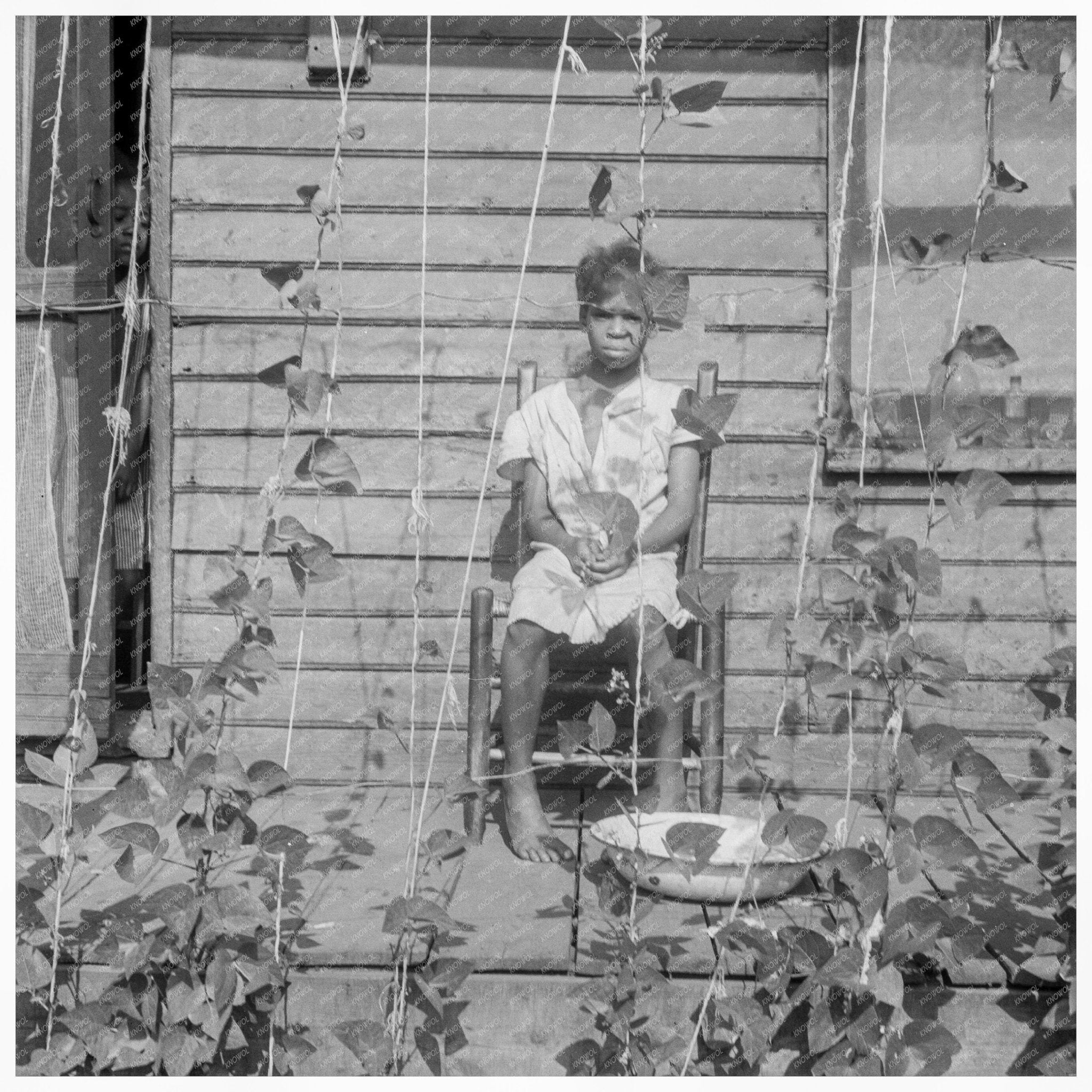 Butter Bean Vines on Memphis Porch June 1938 - Available at KNOWOL