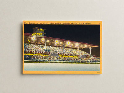 The grandstand, at night, Ocean Downs Raceway, Ocean City, Maryland — Vintage Maryland Postcard