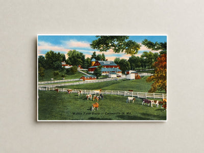Wilton Farm Dairy -- Catonsville 28, MD — Vintage Maryland Postcard