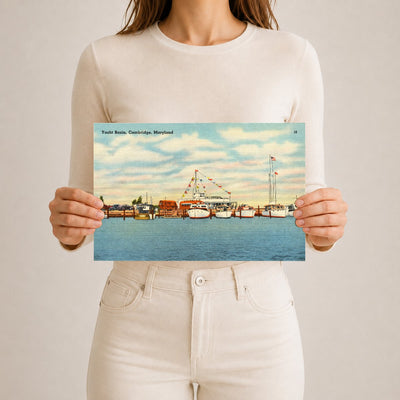 Yacht Basin, Cambridge, Maryland — Vintage Maryland Postcard
