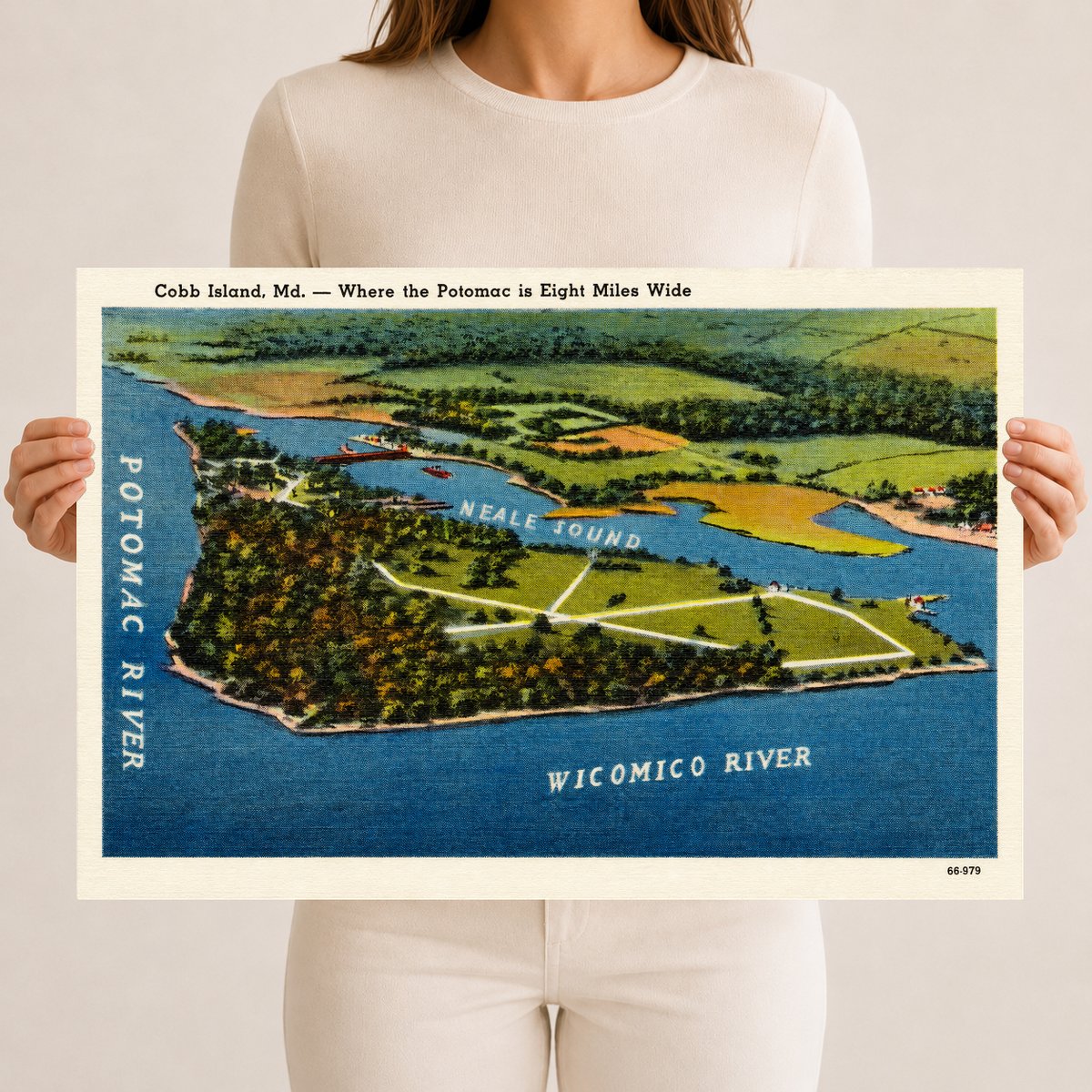 Cobb Island, MD -- where the Potomac is eight miles wide — Vintage Maryland Postcard
