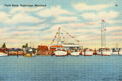 Yacht Basin, Cambridge, Maryland — Vintage Maryland Postcard
