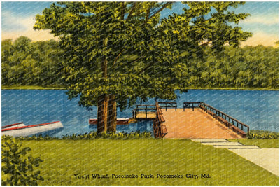 Yacht Wharf, Pocomoke Park, Pocomoke City, MD — Vintage Maryland Postcard