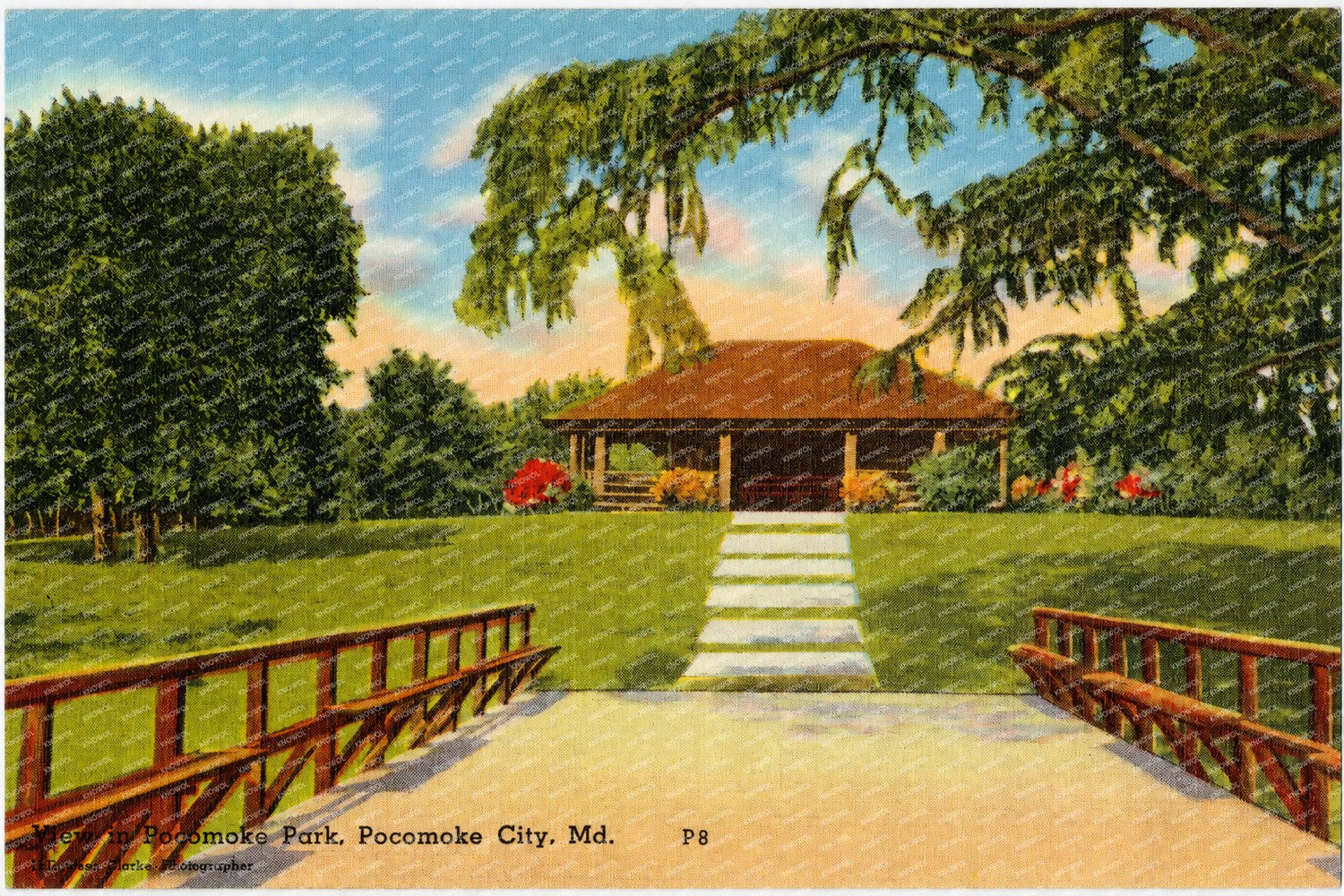 View in Pocomoke Park, Pocomoke City, MD — Vintage Maryland Postcard