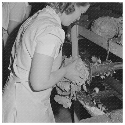 Cabbage Coring in Turlock California June 1942 - Available at KNOWOL