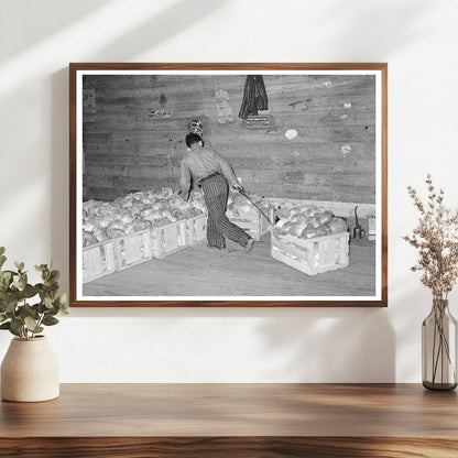 Cabbage Skidding in Alamo Texas Warehouse February 1939 - Available at KNOWOL