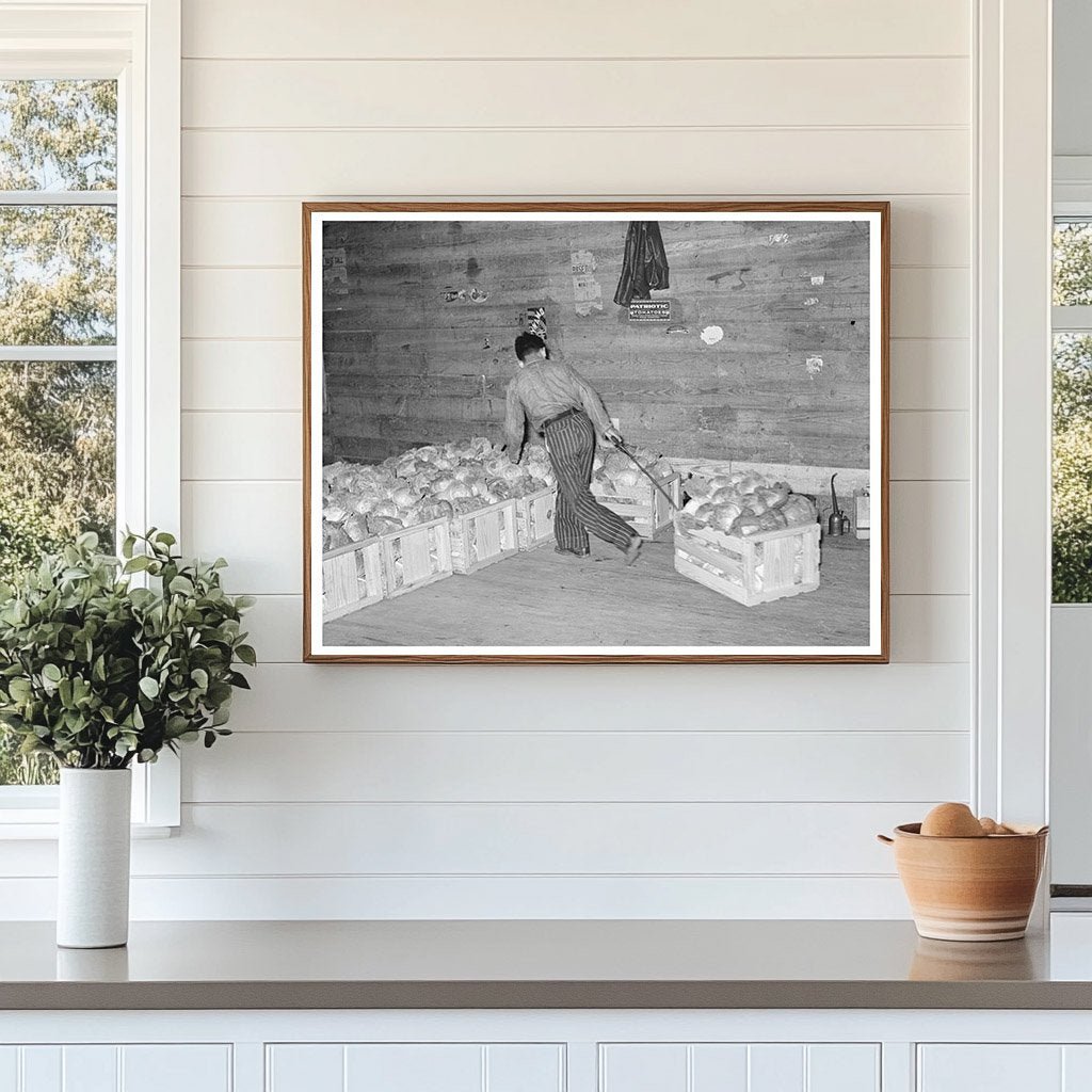 Cabbage Skidding in Alamo Texas Warehouse February 1939 - Available at KNOWOL