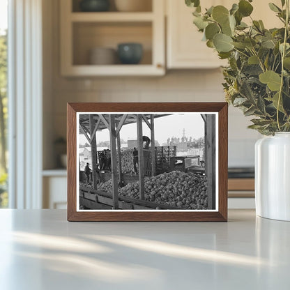 Cabbage Unloading at Turlock Dehydrating Plant 1942 - Available at KNOWOL