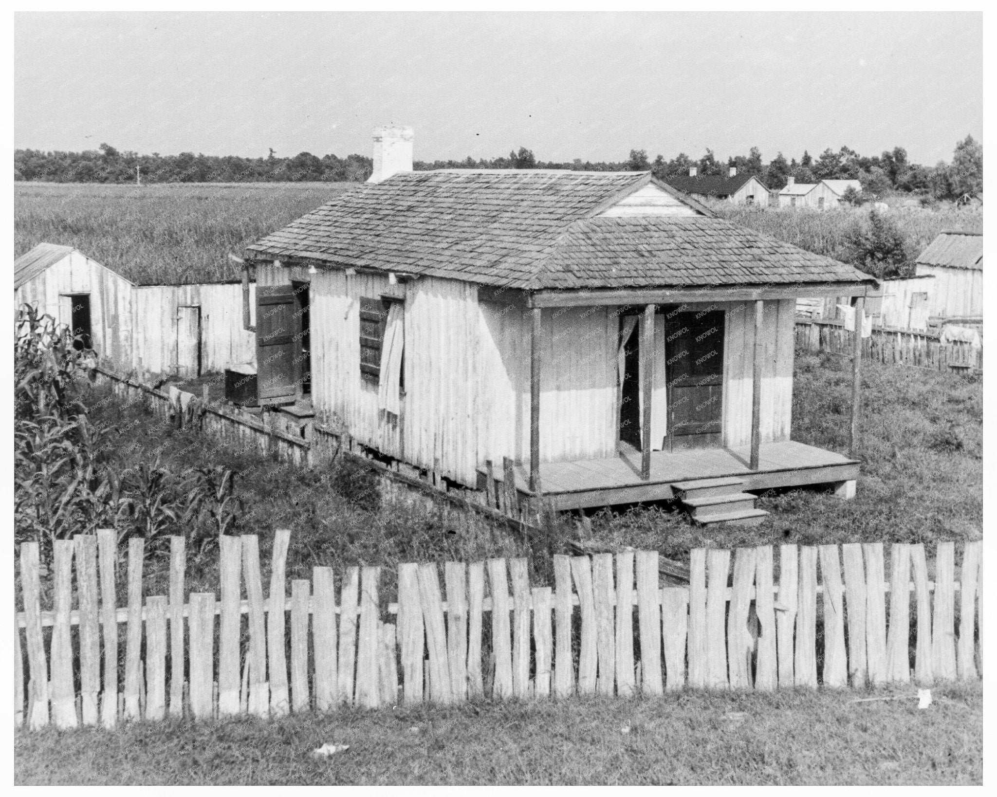 Cabin of Sugarcane Worker Bayou La Fourche Louisiana 1937 - Available at KNOWOL