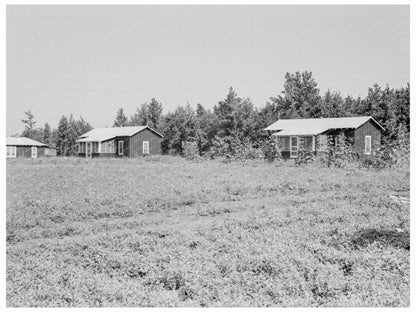 Cabins at Delta Cooperative Farm Hillhouse Mississippi 1937 - Available at KNOWOL