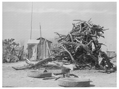 Cactus and Wood Pile in Crystal City Texas 1939 - Available at KNOWOL