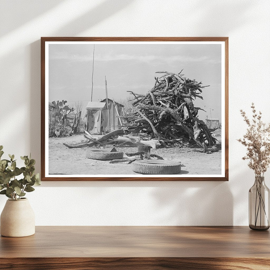 Cactus and Wood Pile in Crystal City Texas 1939 - Available at KNOWOL