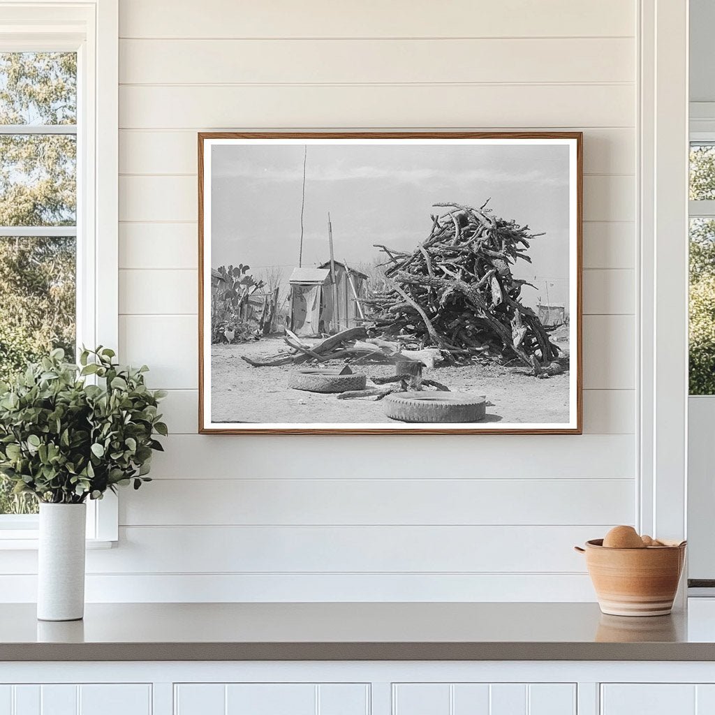 Cactus and Wood Pile in Crystal City Texas 1939 - Available at KNOWOL