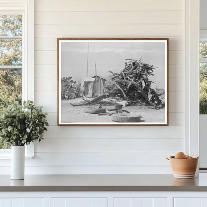 Cactus and Wood Pile in Crystal City Texas 1939 - Available at KNOWOL