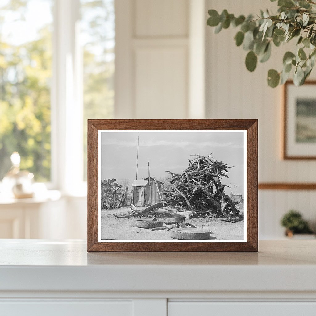 Cactus and Wood Pile in Crystal City Texas 1939 - Available at KNOWOL