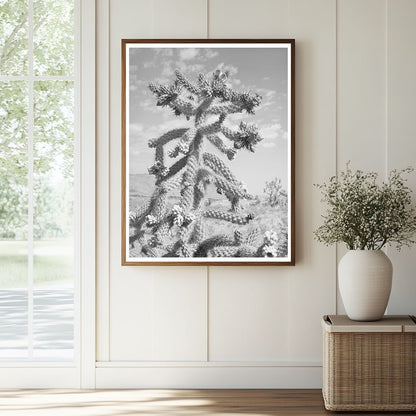 Cactus Bloom in Graham County Arizona May 1940 - Available at KNOWOL