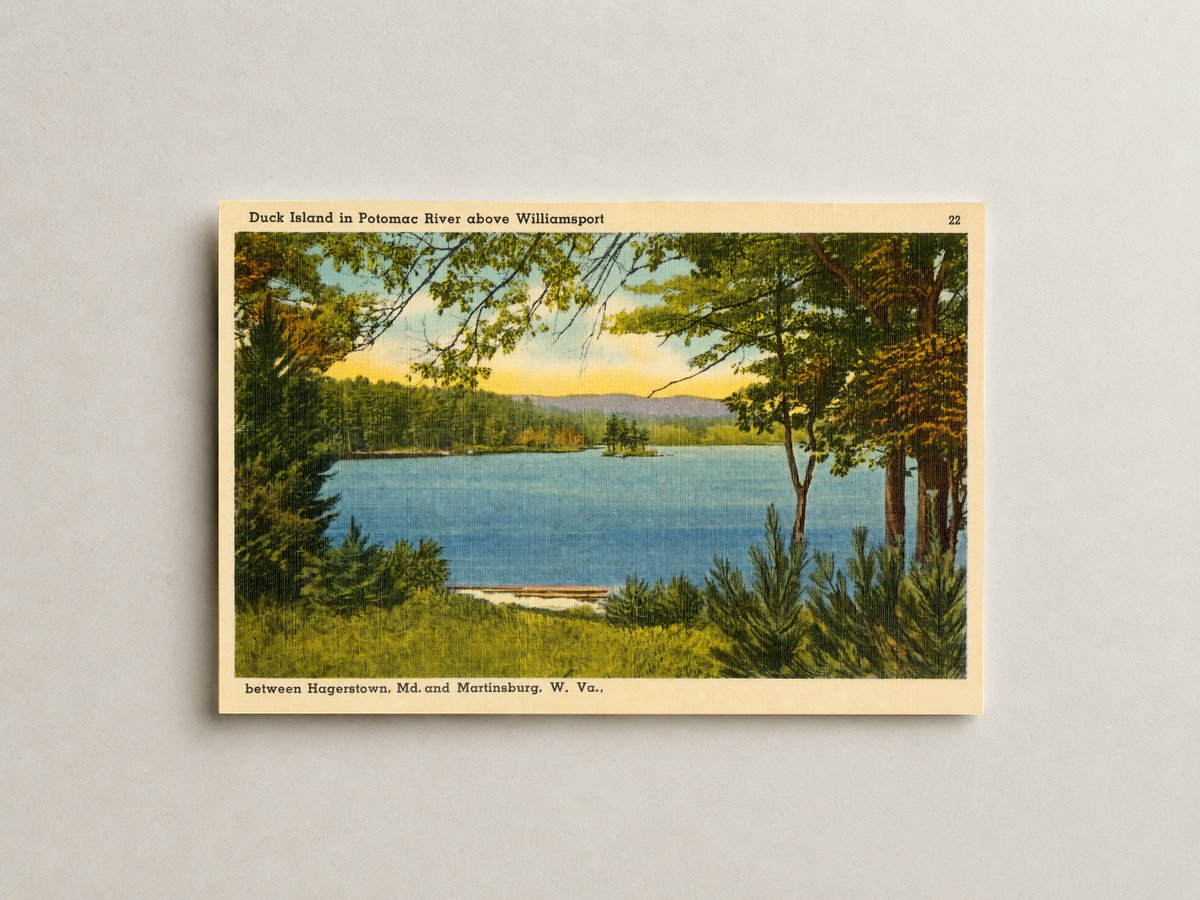 Duck Island in Potomac River above Williamsport between Hagerstown, MD And Martinsburg, W. Va. — Vintage Maryland Postcard