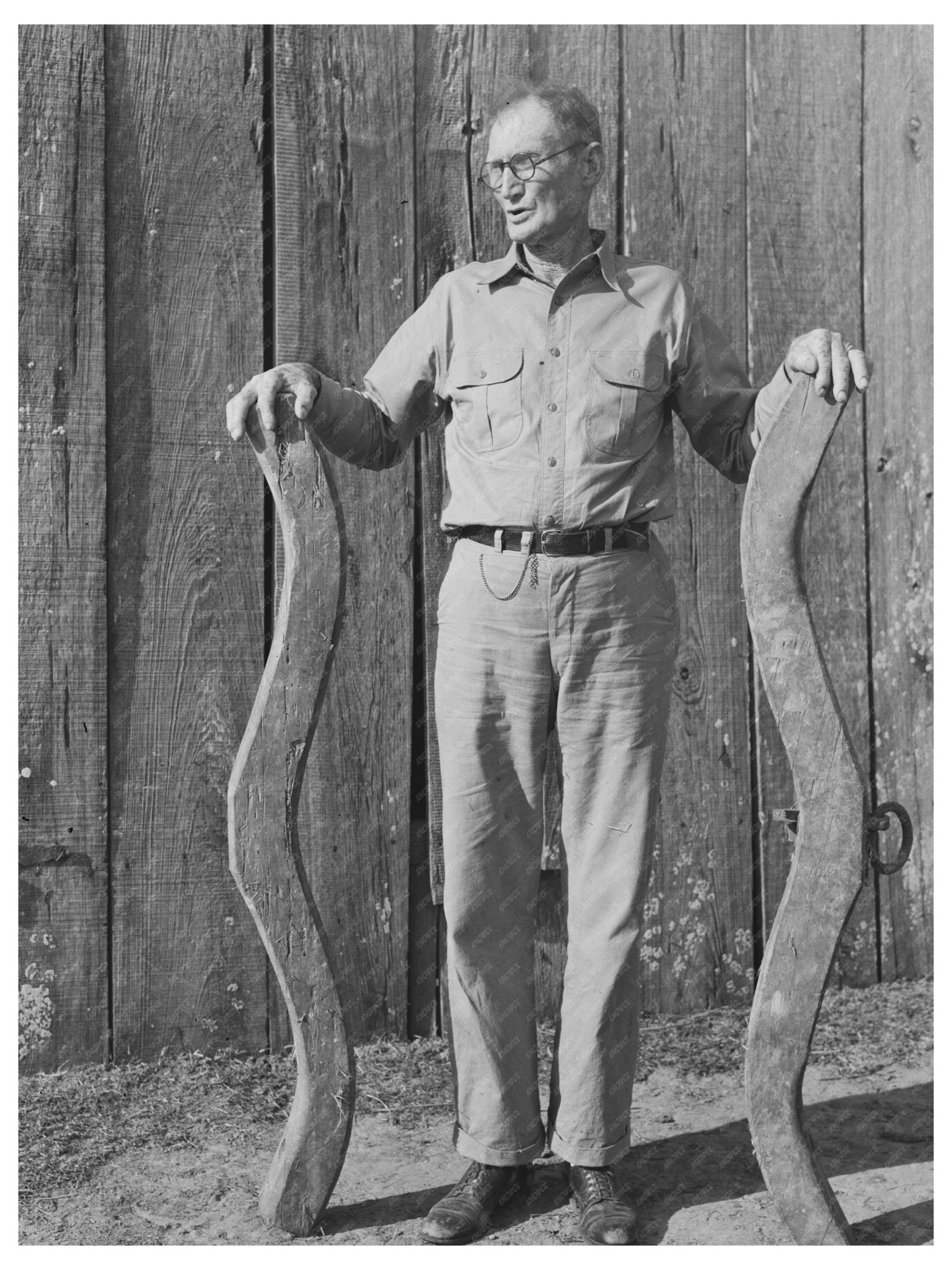 Cajun Farmer with Oxen Yoke Acadia Parish 1938 - Available at KNOWOL