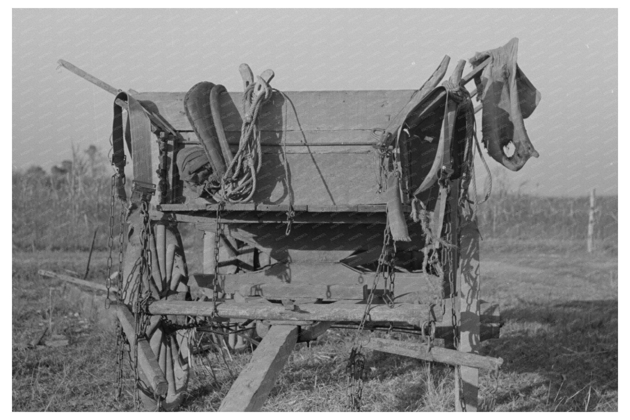 Cajun Sugarcane Farmers Wagon and Harness 1938 - Available at KNOWOL