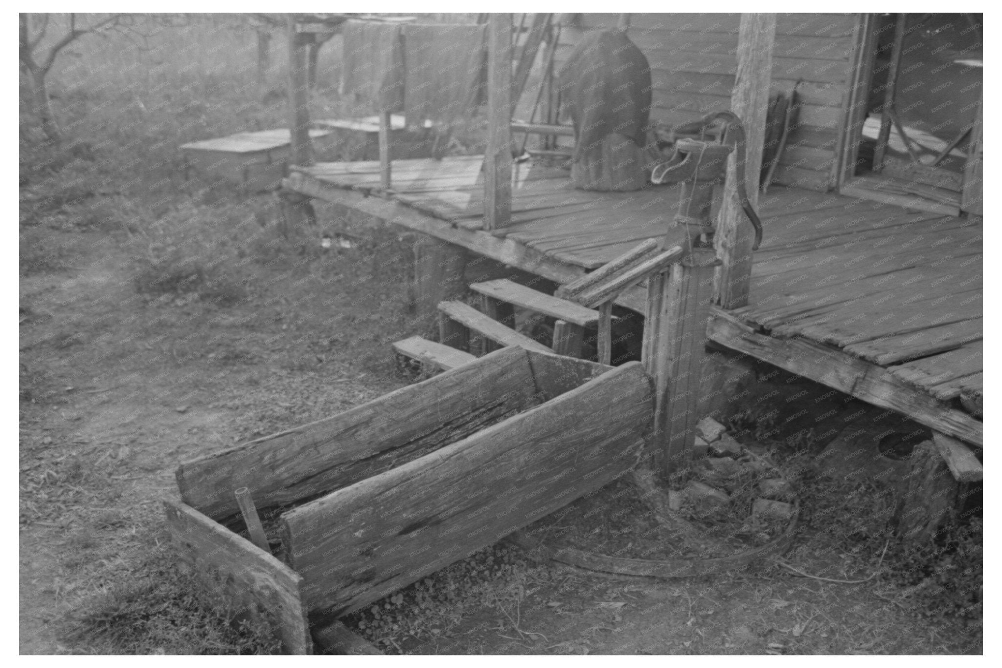 Cajun Watering Trough Log Crowley Louisiana 1938 - Available at KNOWOL