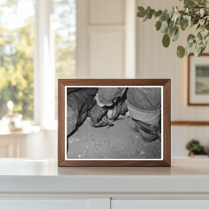 Calf Horn Burning Roundup Scene Marfa Texas 1939 - Available at KNOWOL