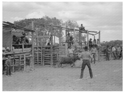 Calf Leaving Corral at Quemado Rodeo June 1940 - Available at KNOWOL