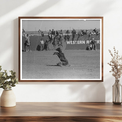 Calf Roping Contest at San Angelo Rodeo March 1940 - Available at KNOWOL