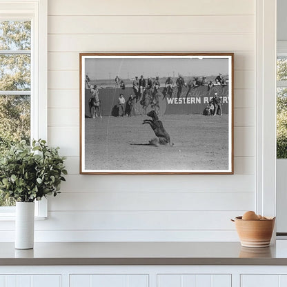 Calf Roping Contest at San Angelo Rodeo March 1940 - Available at KNOWOL