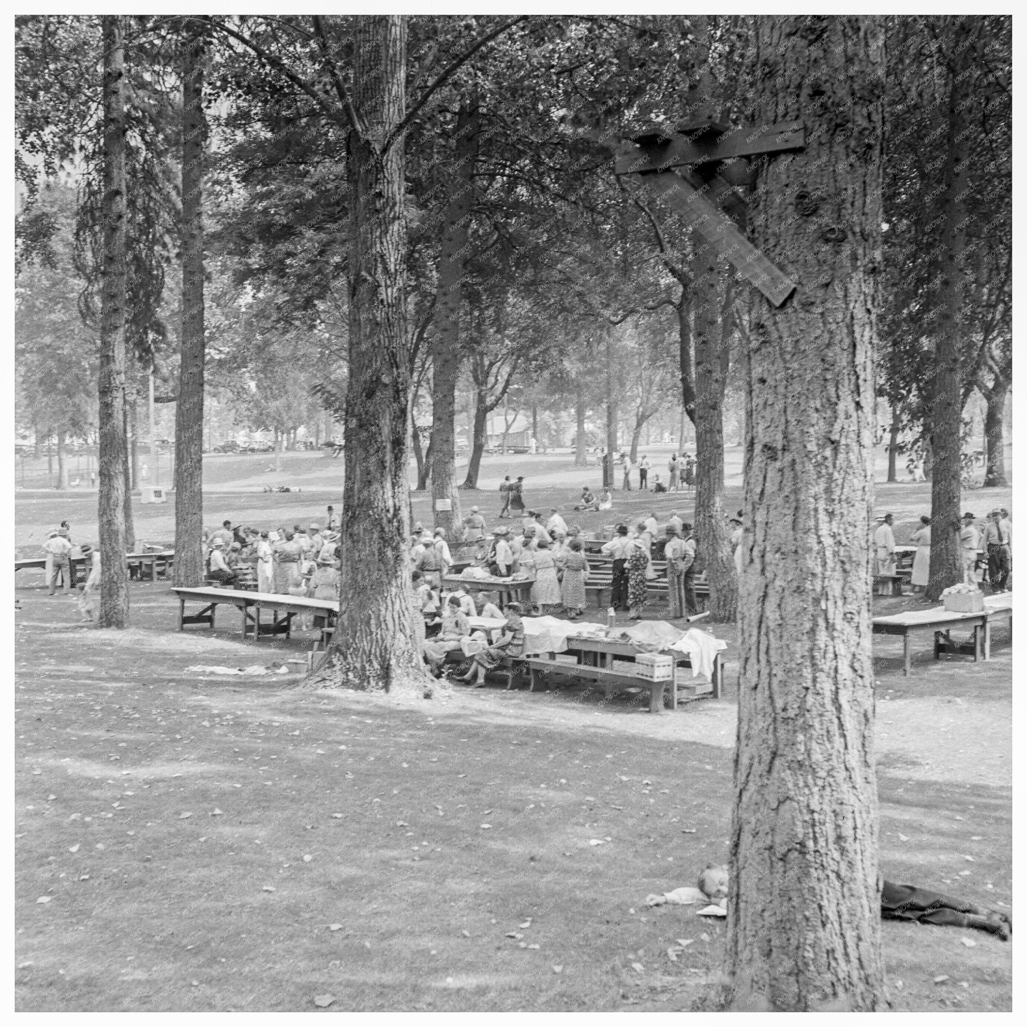 California Day Picnic 1939 Grants Pass Oregon - Available at KNOWOL